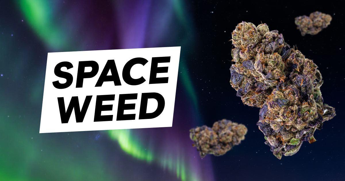 S*O様 dugudagii SPACE WEEDS Home - Space Weed | Flash Frozen Cured Cannabis | USA